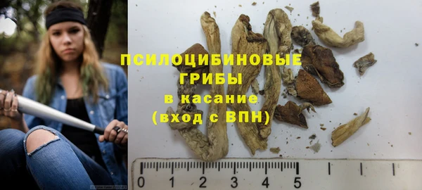 соль ск Балахна