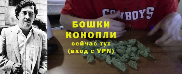 прущие грибы Балабаново