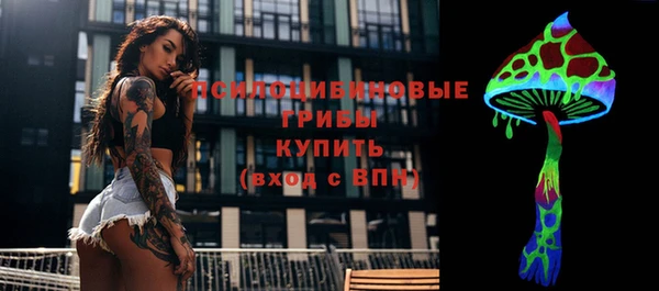 крисы Баксан