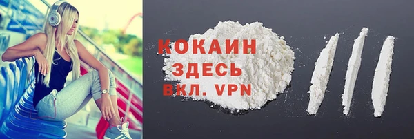 крисы Баксан