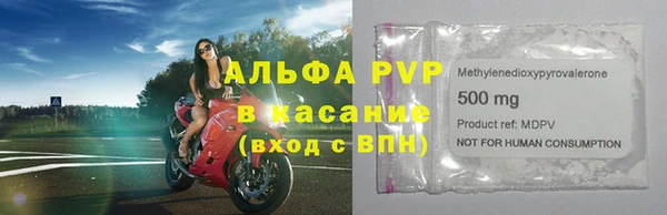 крисы Баксан