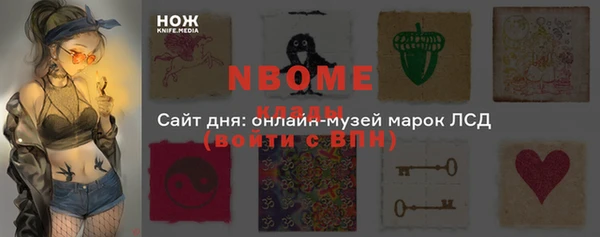 крисы Баксан