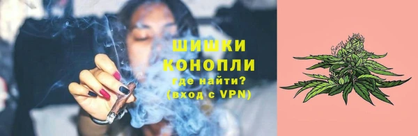 прущие грибы Балабаново