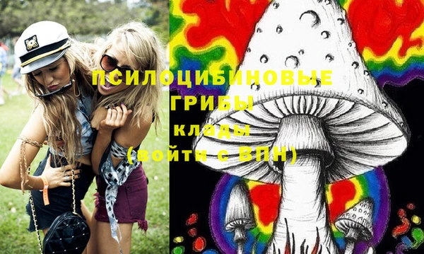 прущие грибы Балабаново