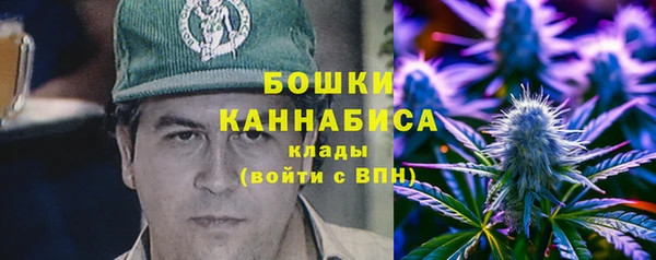 прущие грибы Балабаново