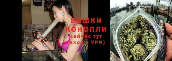 соль ск Балахна