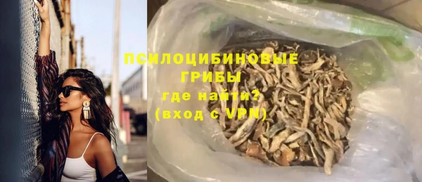 соль ск Балахна